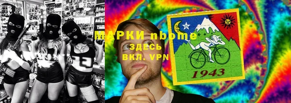 крисы Новокубанск